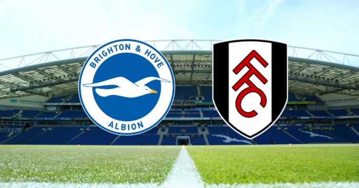 Laporan Pertandingan Fulham vs Brighton dan Jalannya Pertandingan