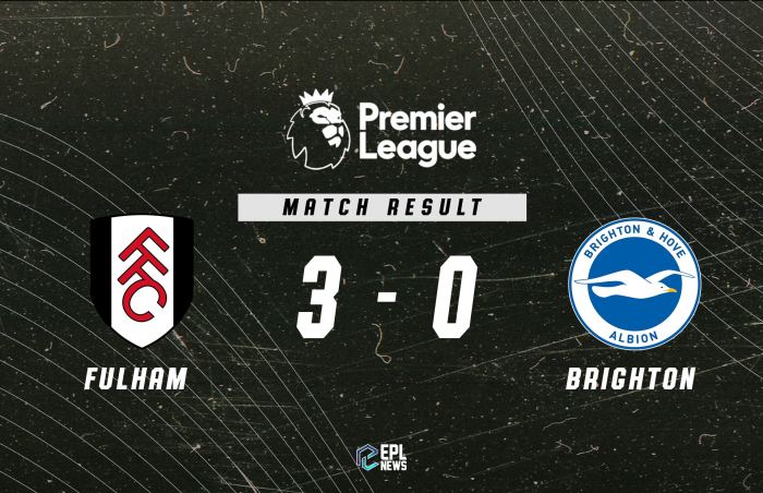 Laporan pertandingan Fulham vs Brighton dan jalannya pertandingan