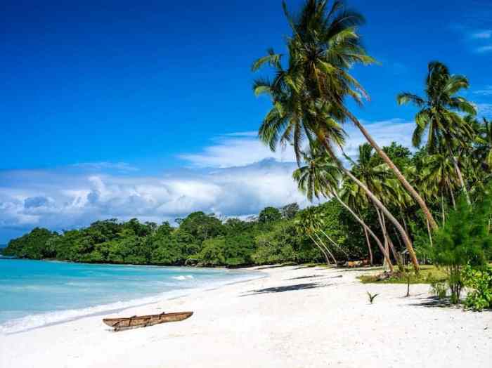 Pariwisata dan keindahan alam Vanuatu: destinasi liburan