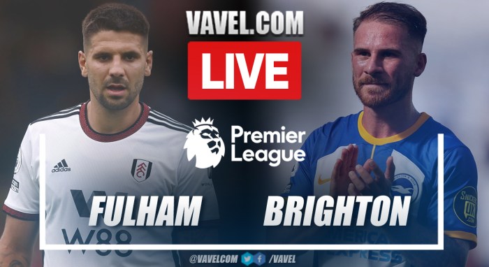 Laporan pertandingan Fulham vs Brighton dan jalannya pertandingan